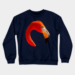 Graceful Flamingo Crewneck Sweatshirt